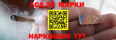 дживик Бийск