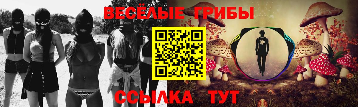 Галлюциногенные грибы мицелий Ижевск